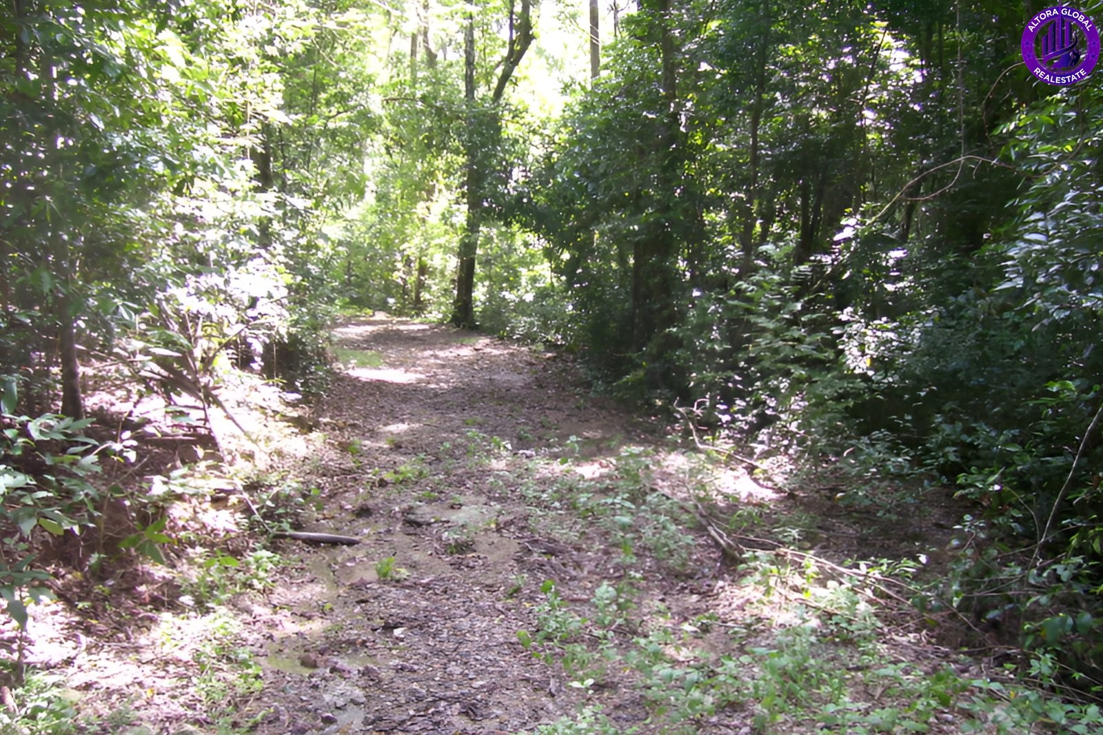 514 Dunwoody Road, Ball Bay, Qld 4741