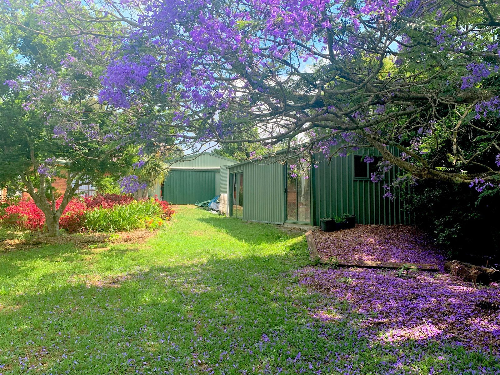 9 Ocola Court TAMBORINE MOUNTAIN QLD