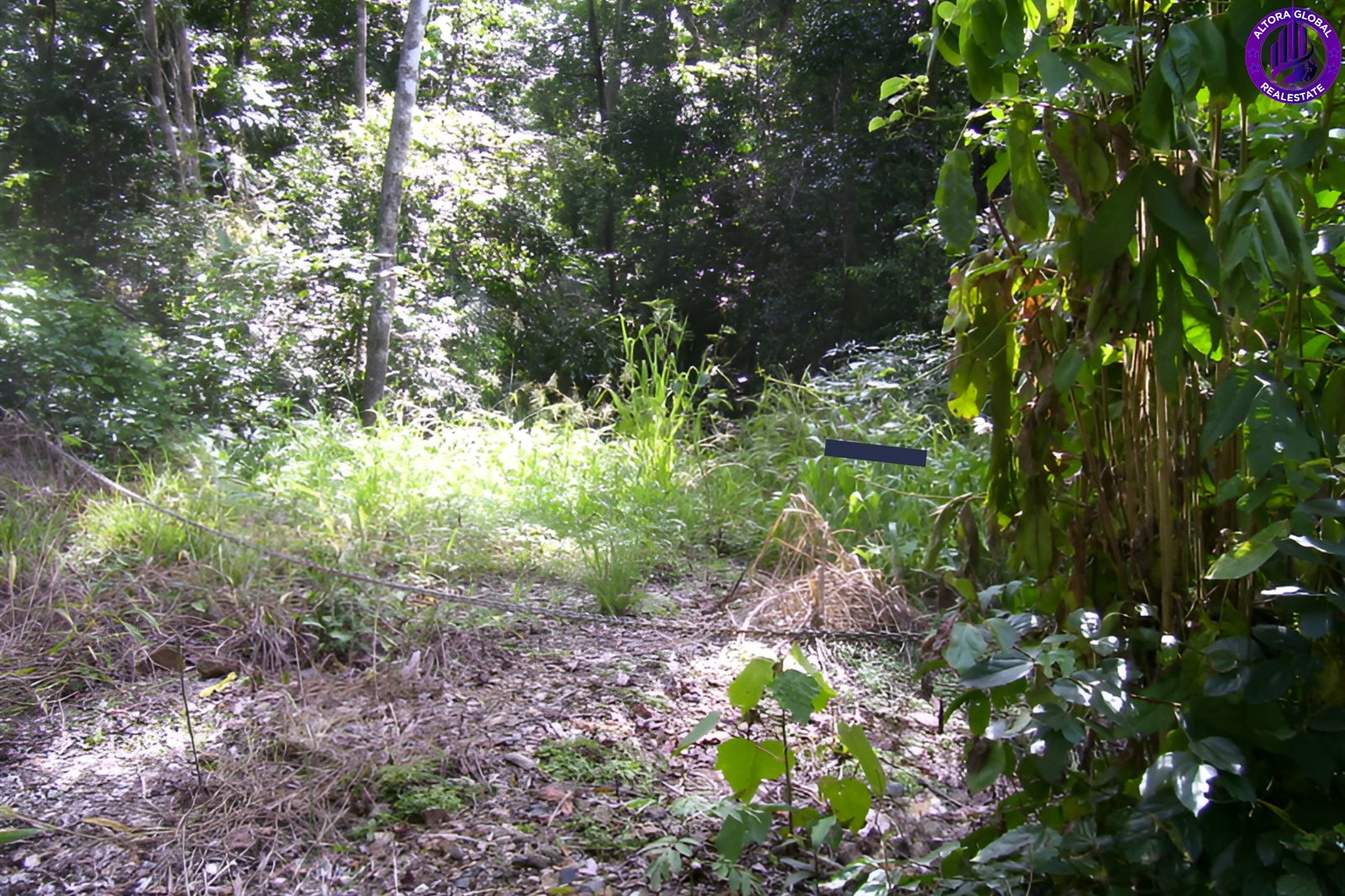 514 Dunwoody Road, Ball Bay, Qld 4741