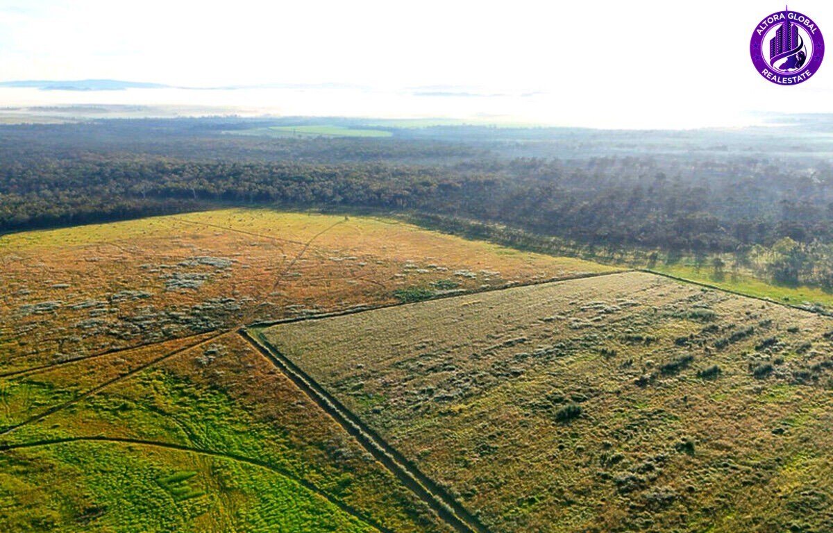 326 Springs Road, Paddys Green QLD 4880