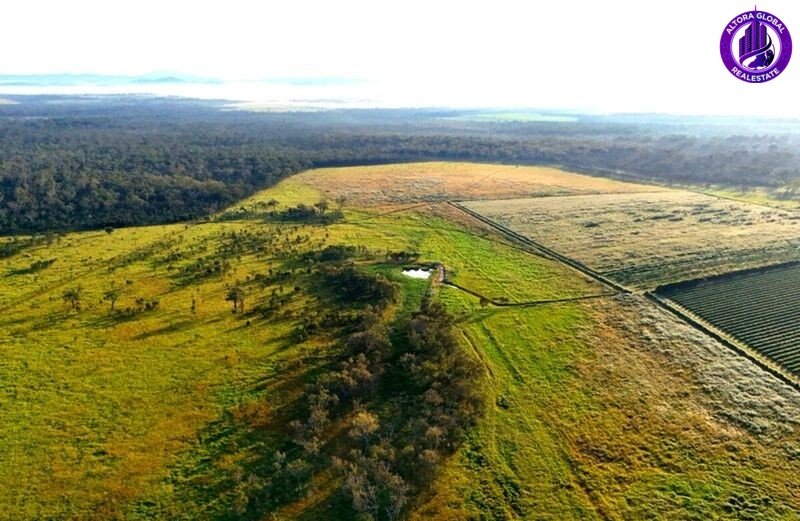 326 Springs Road, Paddys Green QLD 4880