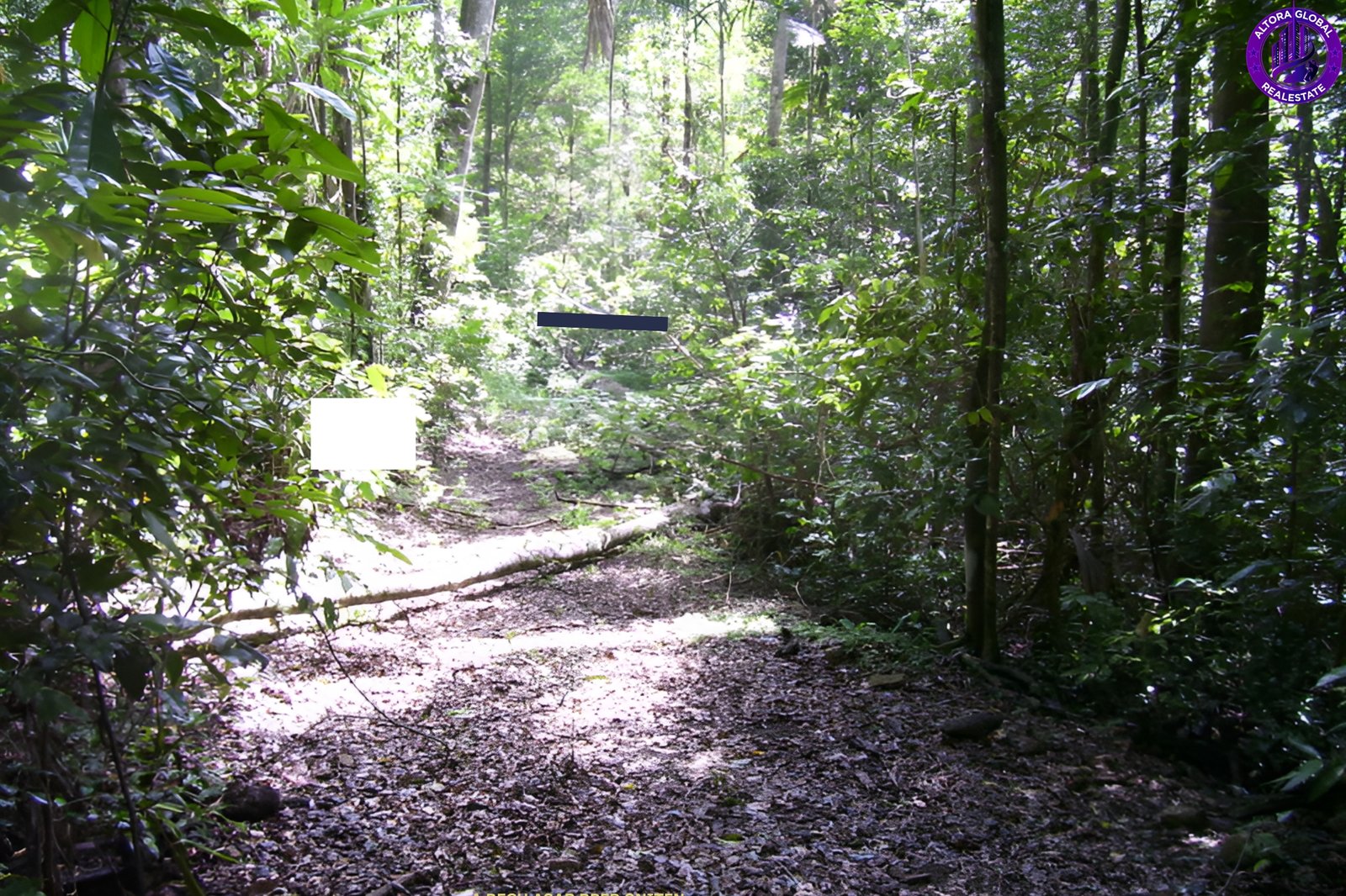 514 Dunwoody Road, Ball Bay, Qld 4741