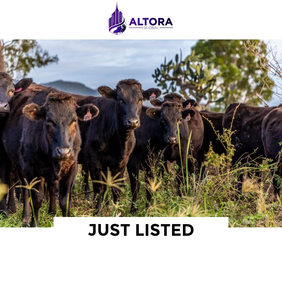 822 Rosehill Road, Takilberan QLD 4671